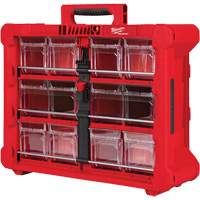 PACKOUT Tilt Bin Organizer, 15-1/5" x 19-7/10" x 6-7/10", Black/Red NRZ Safety Inc.