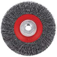 5C14T High Performance Crimped Wire Brush, 5" Dia., 0.014" Fill, 5/8"-11NC Arbor NRZ Safety Inc.