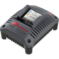 Chargeur de batterie compact IQV20, 20 V, Lithium-ion NRZ Safety Inc.