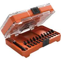 Slim ProFlex Impact Bit Set, 12 Pcs., Magnetic NRZ Safety Inc.