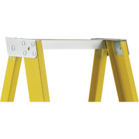 Industrial Heavy-Duty Platform Stepladders (6500 Series), 6', 300 lbs. Cap. NRZ Safety Inc.