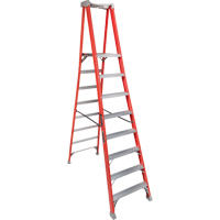 Industrial Heavy-Duty Pro Platform Stepladders (FXP1700 Series), 8', 300 lbs. Cap. NRZ Safety Inc.
