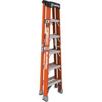 Step Ladder, 6', Fibreglass, 375 lbs. Capacity, Type 1AA NRZ Safety Inc.