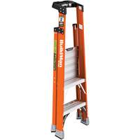 Escabeau avec plateforme Safespace, 2', Cap. De 300 lb NRZ Safety Inc.