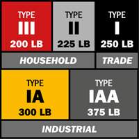 Step Ladder with Paint Tray, 10', Aluminum, 225 lbs. Capacity, Type 2 NRZ Safety Inc.