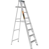 Step Ladder with Paint Tray, 8', Aluminum, 225 lbs. Capacity, Type 2 NRZ Safety Inc.