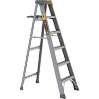 Step Ladder with Paint Tray, 6', Fibreglass, 225 lbs. Capacity, Type 2 NRZ Safety Inc.