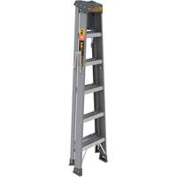 Step Ladder with Paint Tray, 6', Fibreglass, 225 lbs. Capacity, Type 2 NRZ Safety Inc.