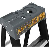 Step Ladder with Paint Tray, 10', Fibreglass, 250 lbs. Capacity, Type 1 NRZ Safety Inc.