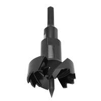 Standard Self-Feed Drill Bit, 3-5/8", 6" Length, 7/16" Hex Shank NRZ Safety Inc.