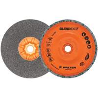 Blendex U Finishing Cup Disc, 5" Dia., Fine Grit, Silicon Carbide NRZ Safety Inc.