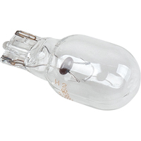 Replacement Bulb - 9 W Tungsten NRZ Safety Inc.