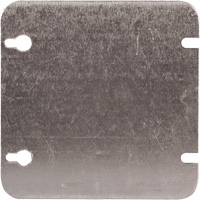Blank Wall Plate NRZ Safety Inc.