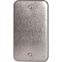 Blank Wall Plate NRZ Safety Inc.