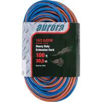 TPE-Rubber Extension Cord With Light Indicator, All-Weather, SJEOW, 14/3 AWG, 13 A, 100' NRZ Safety Inc.