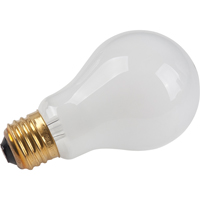 Economy Line Incandescent Lamps NRZ Safety Inc.