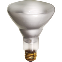 Economy Line Incandescent Lamps NRZ Safety Inc.