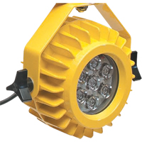 Heavy-Duty LED Dock Light - Head Only NRZ Safety Inc.