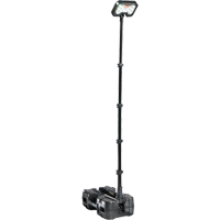 9490 Remote Area Lighting Systems, LED, 53.3 W, 6000 Lumens, Plastic Housing NRZ Safety Inc.