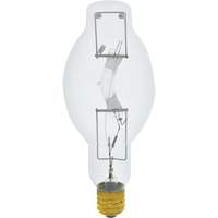 High Intensity Discharge Lamps (HID) - Metal Halide NRZ Safety Inc.