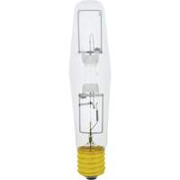High Intensity Discharge Lamps (HID) - Metal Halide NRZ Safety Inc.