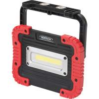 Portable Work Light, LED, 10 W, 1000 Lumens, Plastic Housing NRZ Safety Inc.