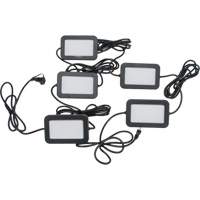 LED String Work Lights, 5 Lights, 50' L, Plastic Housing NRZ Safety Inc.