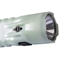 Flashlight, LED, 378 Lumens, AA Batteries NRZ Safety Inc.