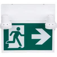 Running Man Sign with Security Lights, LED, Battery Operated/Hardwired, 12-1/10" L x 11" W, Pictogram NRZ Safety Inc.