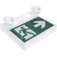 Running Man Sign with Security Lights, LED, Battery Operated/Hardwired, 12-1/10" L x 11" W, Pictogram NRZ Safety Inc.