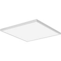 Lumen Switchable Panel, LED, 120 V, 20 - 89 W, 24" W x 24" L NRZ Safety Inc.