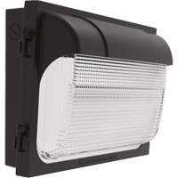 TWX Wall Luminaire, LED, 480 V, 9 W - 54 W, 14" H x 18" W x 5" D NRZ Safety Inc.