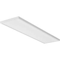 CPANL Flat Panel Ceiling Light NRZ Safety Inc.