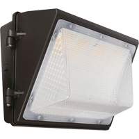 Non-Cutoff Wall Pack, LED, 120 - 277 V, 75 - 110 W, 9.33" H x 6.65" W x 14.5" D NRZ Safety Inc.