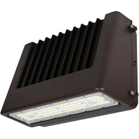 Wall Pack Light Fixture, LED, 120 V, 80 W, 6.5" H x 9.3" W x 14.4" D NRZ Safety Inc.