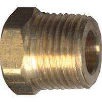 Hex Head Cored Plug, Pipe, 1/8" Dia., Brass NRZ Safety Inc.